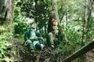 Swiss Army Man 04