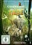 Symphonie der Tiere - Plakat
