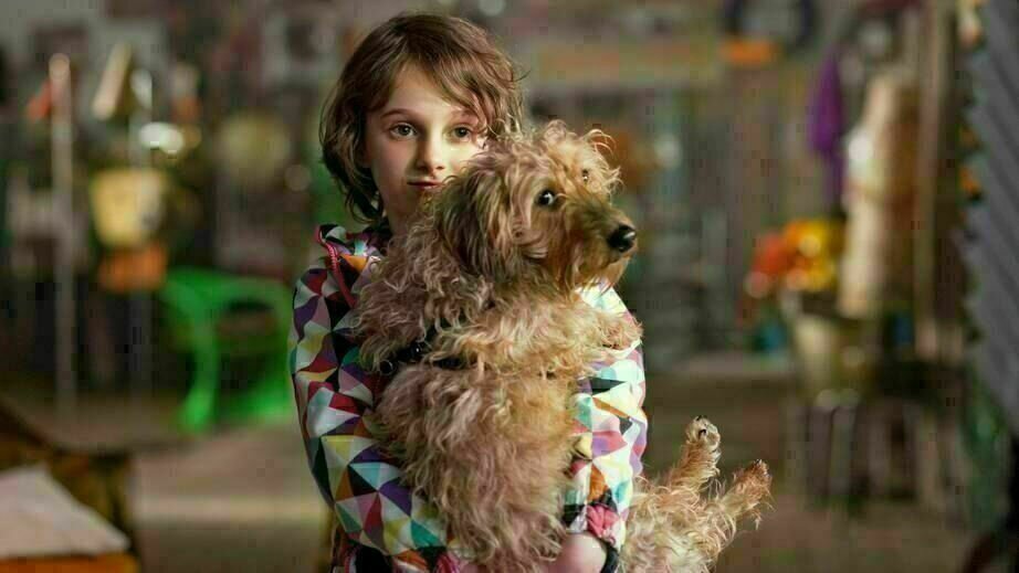 Taking Chances Taking Chances