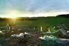 Taking Woodstock