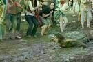 Taking Woodstock