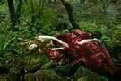 Tale of Tales 2