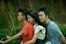 Taste of Betel Nut 4