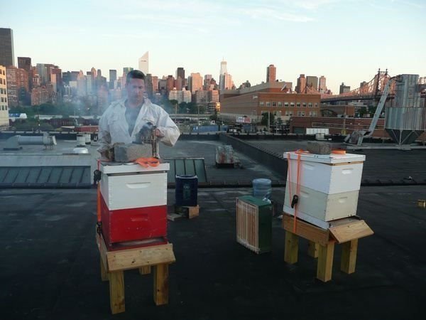 Taste the Waste 06 Taste the Waste 06