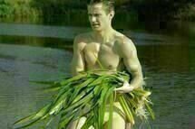 Tatarak