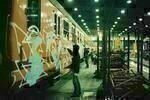 Wholetrain