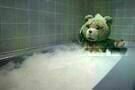 Ted 02