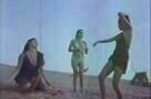 Temptation Island - Ausschnitt