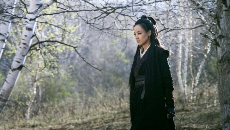 The Assassin 1