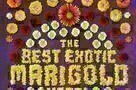 The Best Exotic Marigold Hotel - Poster
