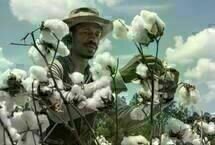 The Birth of a Nation  1