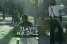 The Birth of a Nation  7