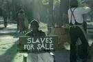The Birth of a Nation  7