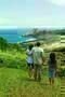 The Descendants 11
