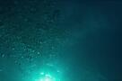 The Dive - Trailer