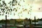 The Exploding Girl