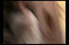 The Fable - Trailer