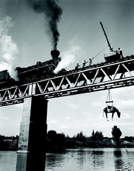 The Fall
