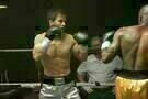 The Fighter 24