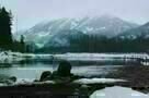 The Grey - Trailer