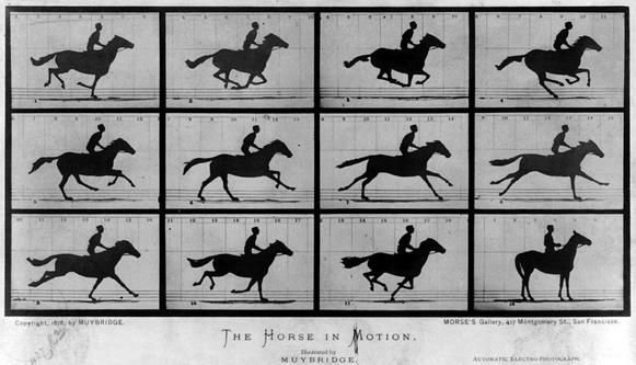 The Horse in Motion-Muybridge