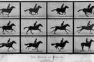 The Horse in Motion-Muybridge