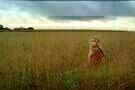 The Kings of Summer 02