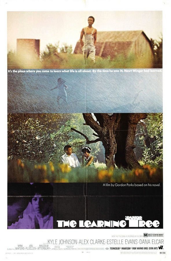 The Learning Tree Poster