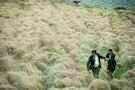 The Lobster 01