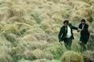 The Lobster Feature 1