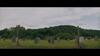 The Long Walk - Todesmarsch - Trailer