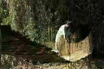 The Man Beyond the bridge