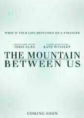 Zwischen zwei Leben - The Mountain Between Us