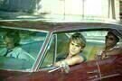 The Paperboy 13