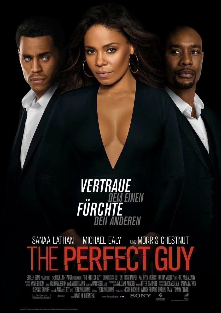 The Perfect Guy - Plakat