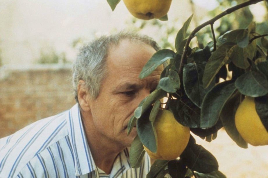 The Quince Tree of the Sun 01