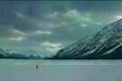 The Revenant 11