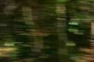 The Sacrament - Trailer