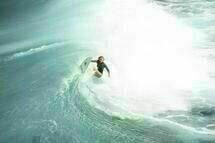 The Shallows 13 The Shallows 13