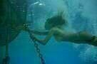 The Shallows 19