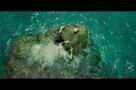 The Shallows - Teaser