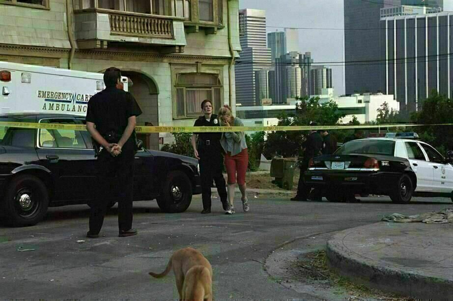 The Shield