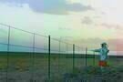 The Signal 02