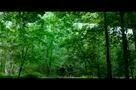 The Signal - Trailer
