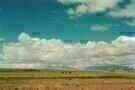 The Sky Trembles and the Earth Is Afraid and the Two Eyes Are Not Brothers 02
