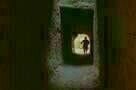 The Sky Trembles and the Earth Is Afraid and the Two Eyes Are Not Brothers 12