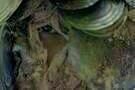 The Sky Trembles and the Earth Is Afraid and the Two Eyes Are Not Brothers 13