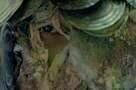 The Sky Trembles and the Earth Is Afraid and the Two Eyes Are Not Brothers 13