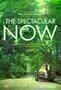 The Spectacular Now - Poster