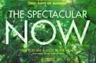 The Spectacular Now - Poster